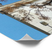 Poster Chinaberry à Lisbonne (Coin)