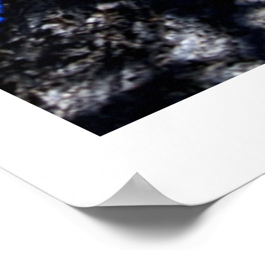 Poster Chinaberry Tree contre Azure Sky (Coin)