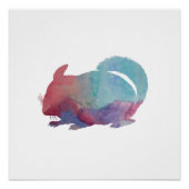 Poster Chinchilla (Devant)