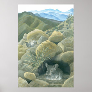 Poster Chinchillas dans le sauvage