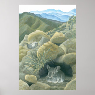 Poster Chinchillas en pleine nature