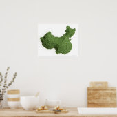 Poster Chine continentale faite d'herbe (Cuisine)