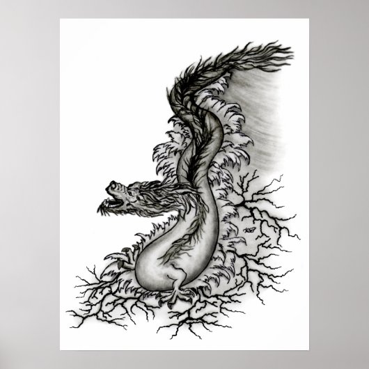 Poster Chine-Drache (Devant)
