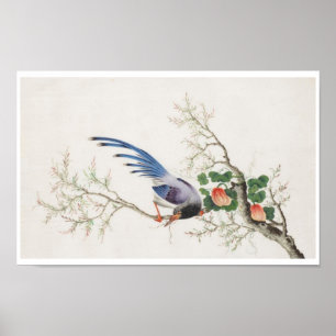 Poster Chinese Bird Painting