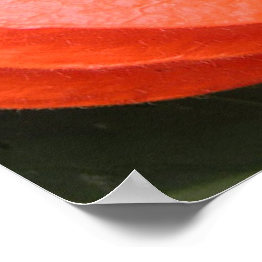 Poster chinois (Coin)