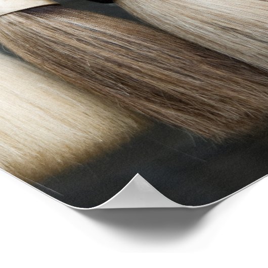 Poster chinois brosses (Coin)