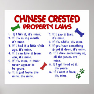 POSTER CHINOIS CRÉÉ PL2