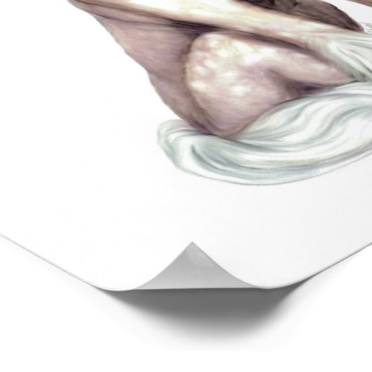 Poster Chinois sans poil (Coin)