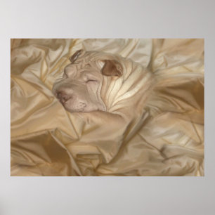 Poster Chinois Shar Pei Camouflé en étincelles