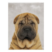Poster chinois Sharpei (Devant)