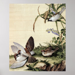 Poster Chinoiserie Vintage Moineaux et Fleurs Violettes