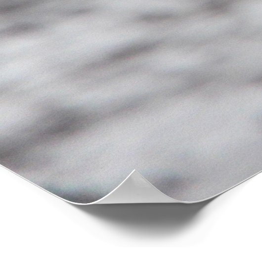 POSTER CHINSTRAP PENGUIN (Coin)