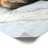 Poster chiot (Coin)