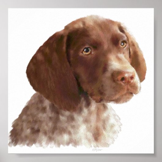Poster Chiot à aire courte allemand (Devant)
