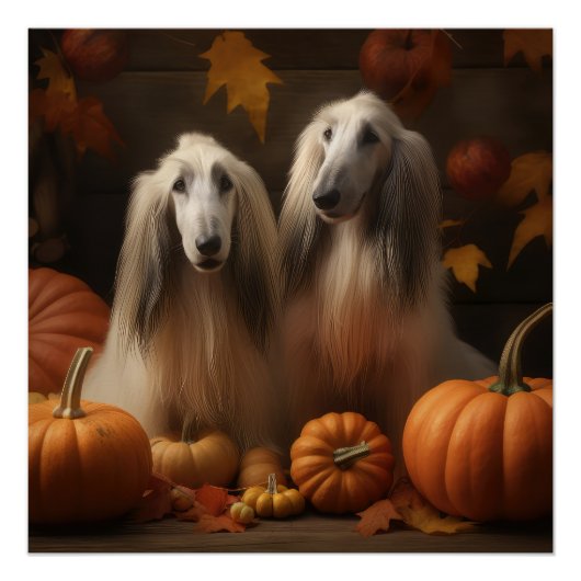 Poster chiot Afghan Hound Automne Délice Citrouille (Devant)