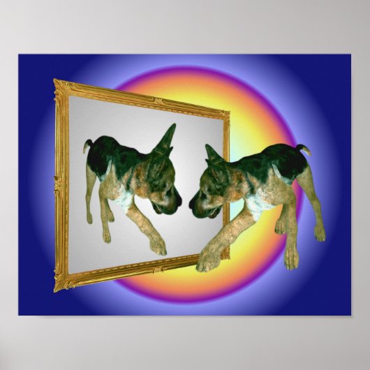 Poster Chiot Allemand En Miroir (Devant)