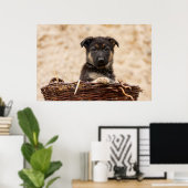 Poster Chiot Allemand En Panier (Bureau à domicile)
