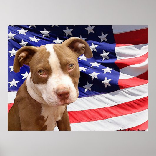 Poster Chiot américain Pitbull (Devant)