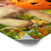 Poster Chiot avec seau Citrouille (Coin)
