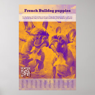 Poster Chiot Bouledogue Français à Vendre Tear Off