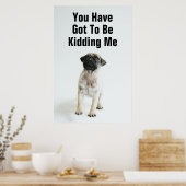 Poster Chiot Carlin mignon (Cuisine)