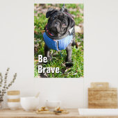 Poster Chiot Carlin Noir Portant Une Veste (Cuisine)