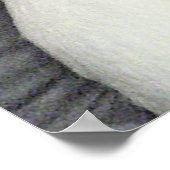 Poster Chiot Chien Blanc Adorable Mignon Portant une Écha (Coin)