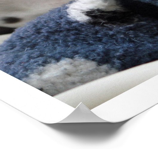 Poster Chiot dalmate (Coin)