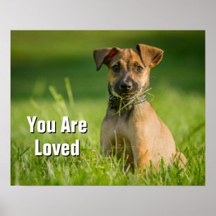 Poster Chiot dans l'herbe