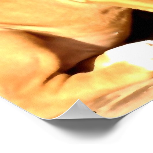 Poster Chiot de boxer assis (Coin)