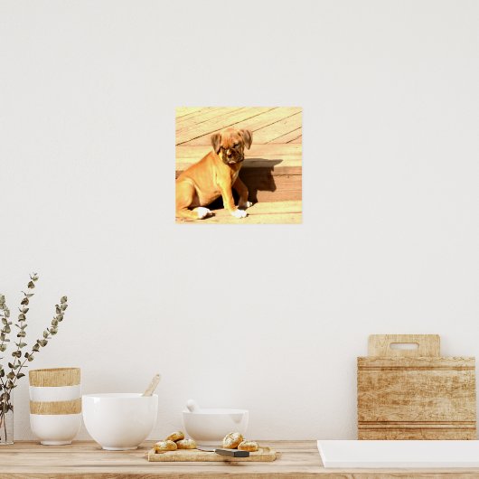 Poster Chiot de boxer assis (Cuisine)