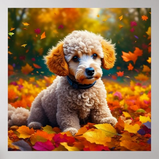 Poster Chiot de canicule d'abricot dans les feuilles d'au (Devant)