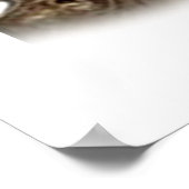 Poster Chiot de Cocker spaniel (Coin)