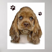 Poster Chiot de Cocker spaniel (Devant)