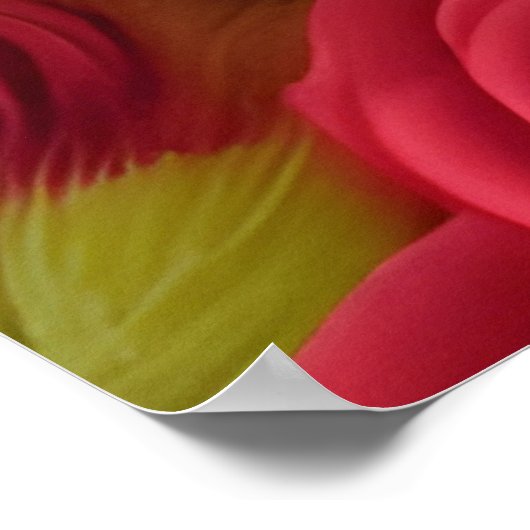 Poster Chiot de Corgi en roses rouges (Coin)