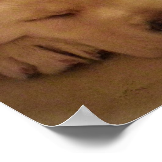 Poster Chiot de laboratoire jaune dormant (Coin)