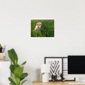 Poster Chiot de laboratoire jaune en herbe haute (Bureau à domicile)