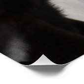Poster Chiot de Labrador Brown (Coin)