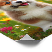 Poster chiot de Pembroke Welsh Corgi (Coin)