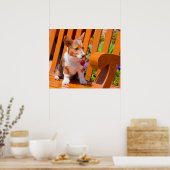 Poster chiot de Pembroke Welsh Corgi assis sur un banc de (Cuisine)