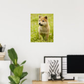 Poster Chiot de Shiba-ken (Bureau à domicile)