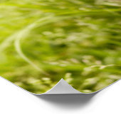 Poster Chiot de Shiba-ken (Coin)