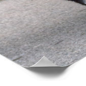 Poster Chiot de Terre-Neuve (Coin)