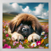 Poster chiot de Terre-Neuve mignon (Devant)