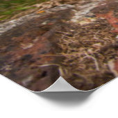 Poster Chiot de Terrier de West Highland (Coin)