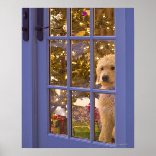 Poster Chiot d'or de griffonnage regardant la porte en