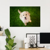 Poster Chiot d'or rétriever sur l'herbe (Bureau à domicile)