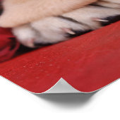 Poster Chiot du Labrador et rose (Coin)