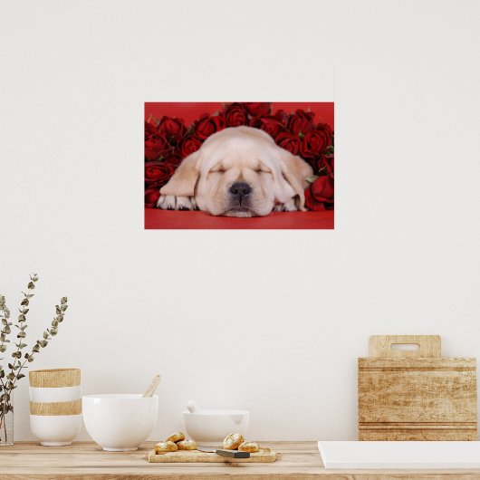 Poster Chiot du Labrador et rose (Cuisine)