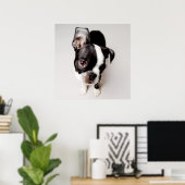Poster Chiot Edison Boston Terrier. (Bureau à domicile)
